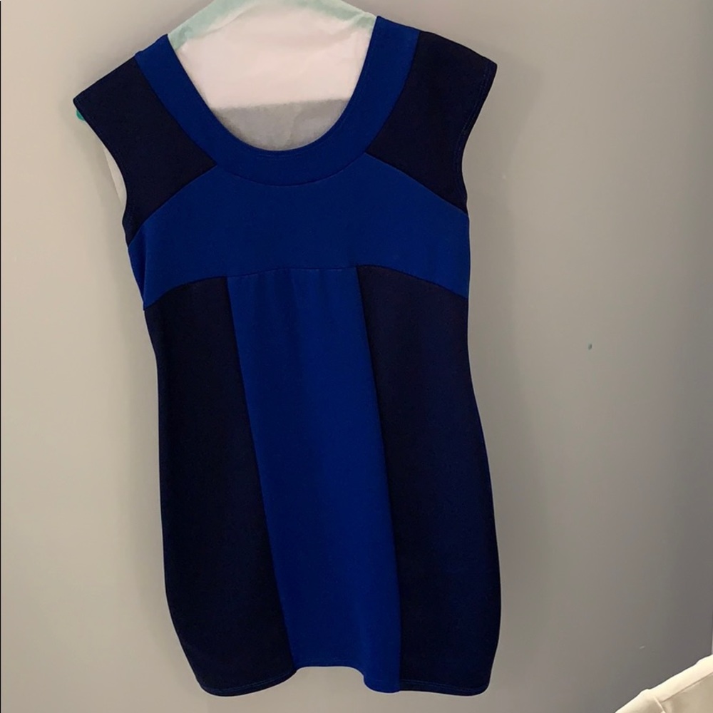 Royal blue and navy scooped necked dress